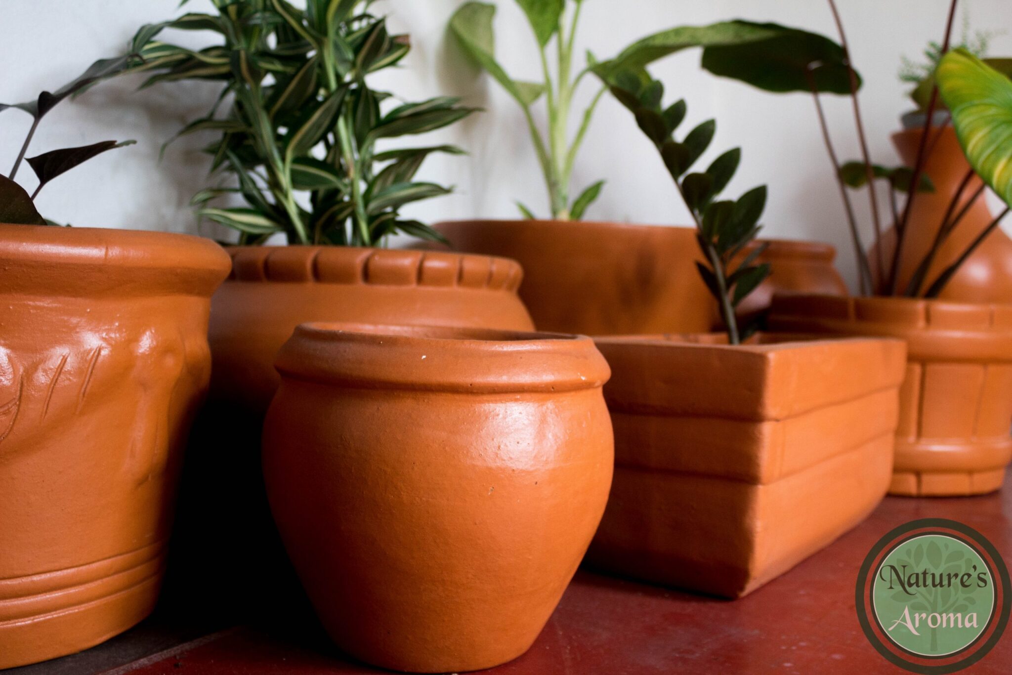 Terra-Cotta Clay Pots